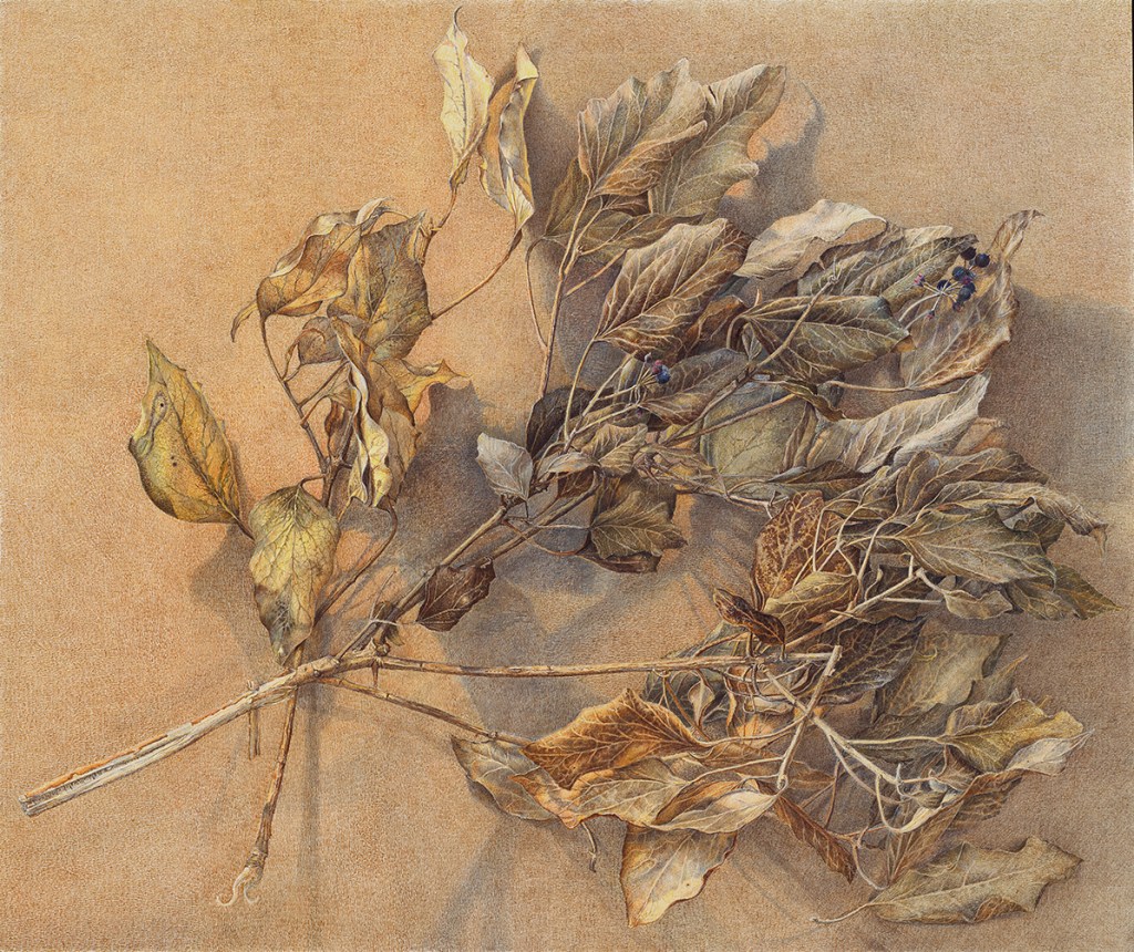 "Zweig", 2015, Aquarell, Tusche, Farbstift auf Papier, 42x51 cm, Privatsammlung Hamburg (Bild: Christian Weihrauch)