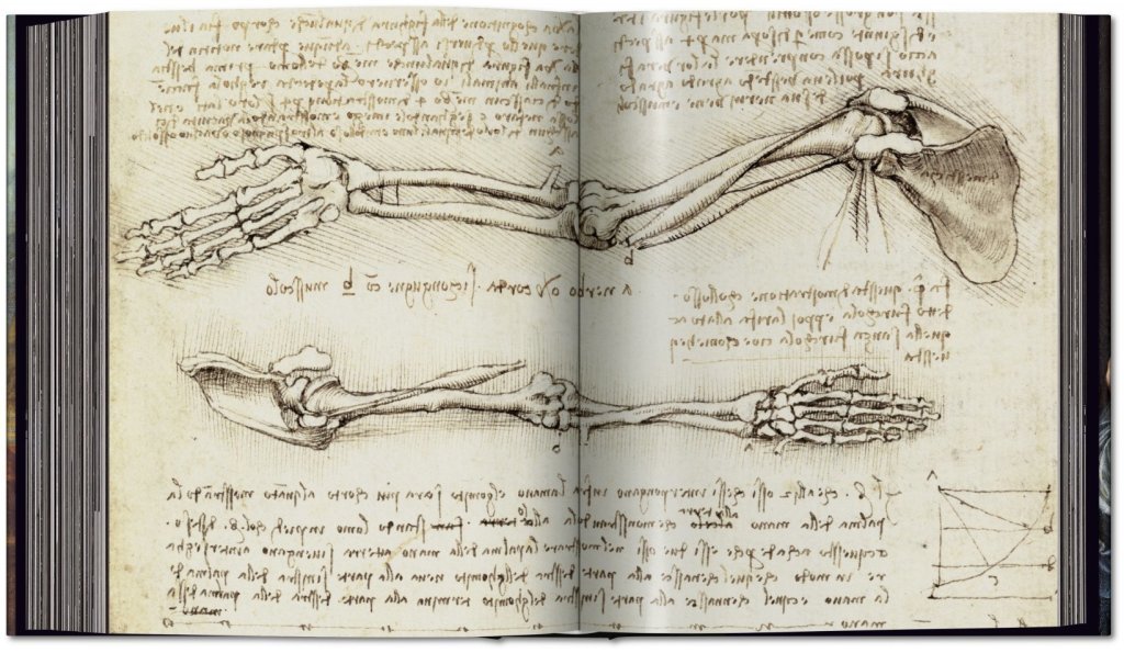 Flügellahmes Genie – Warum Leonardo seine Gemälde nicht vollendet haben&nbsp;will