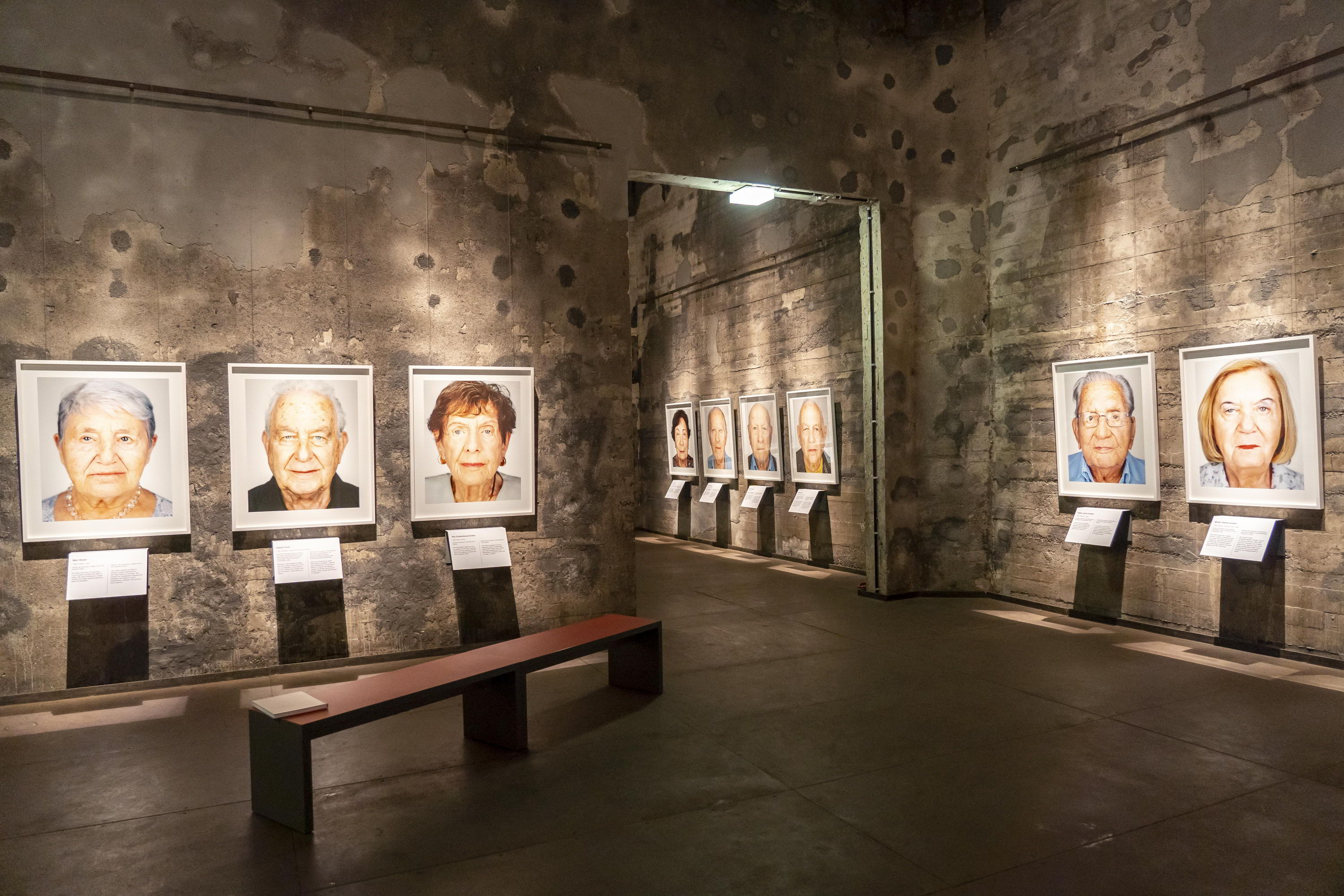 Blick in die Ausstellung "Survivors" // Foto: Jochen Tack, Stiftung Zollverein